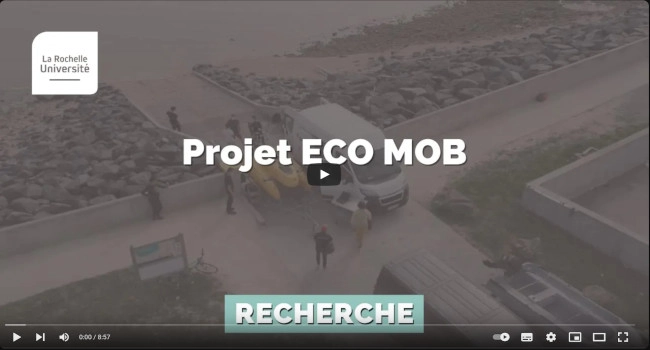 Video presentation of ecomob project